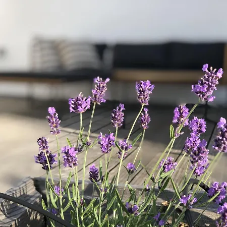 Waldmomente Дом отдыха *