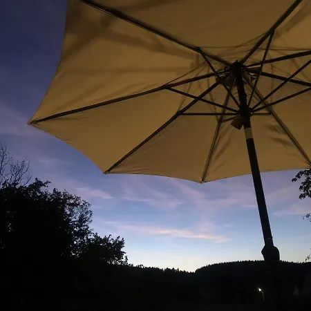 Waldmomente * Schauren (Birkenfeld)