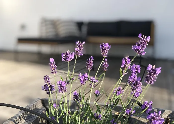 Waldmomente Casa de Férias *