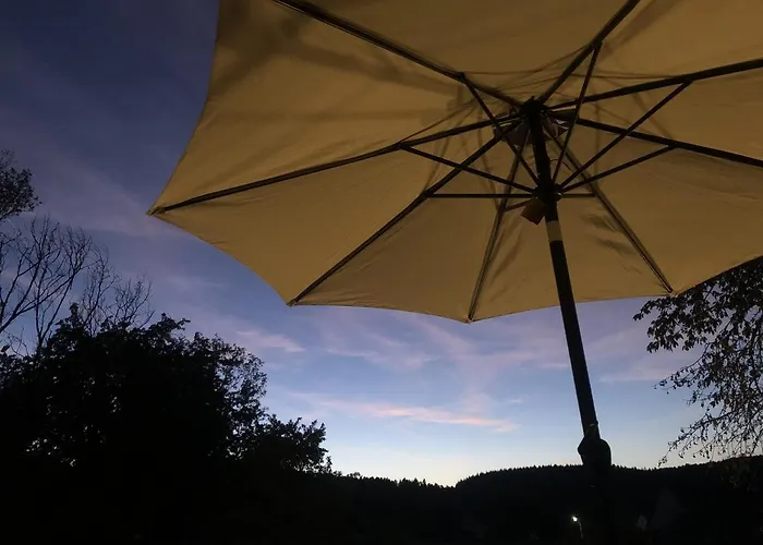 Waldmomente * Schauren (Birkenfeld)